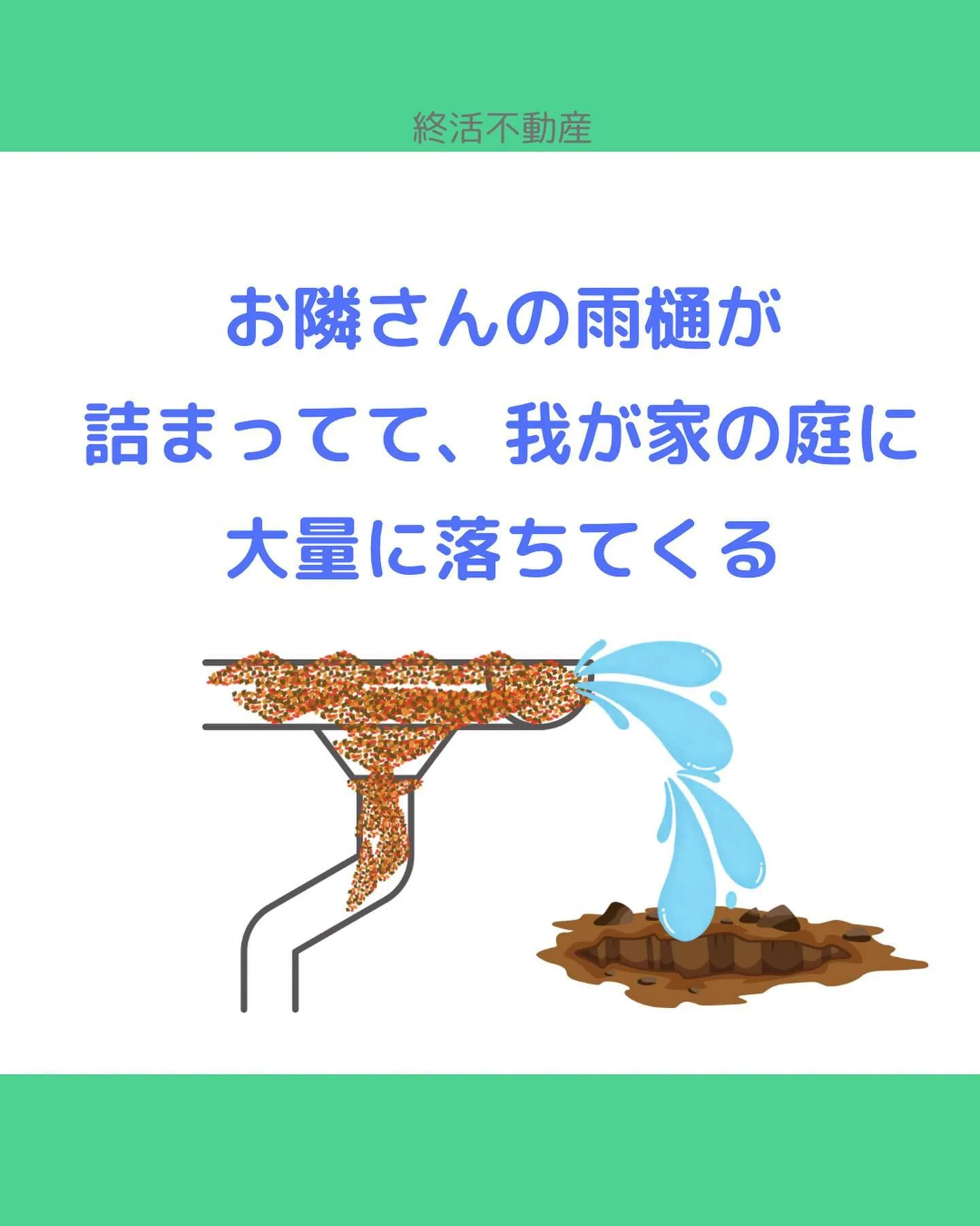 雨樋の掃除って定期的にしますか？