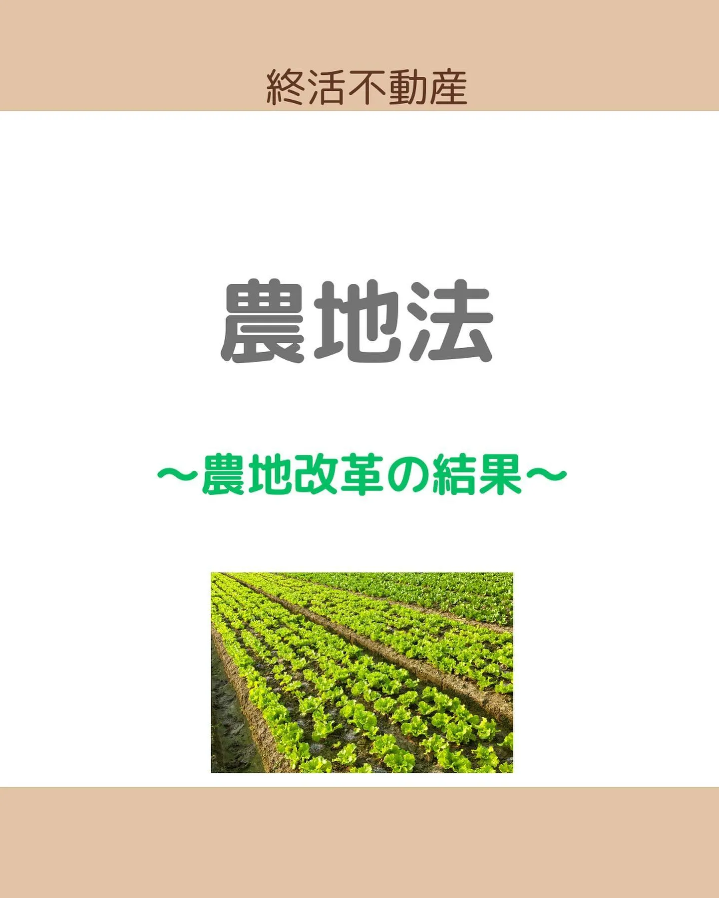 農地法が制定されるきっかけの農地改革について調べてみました。