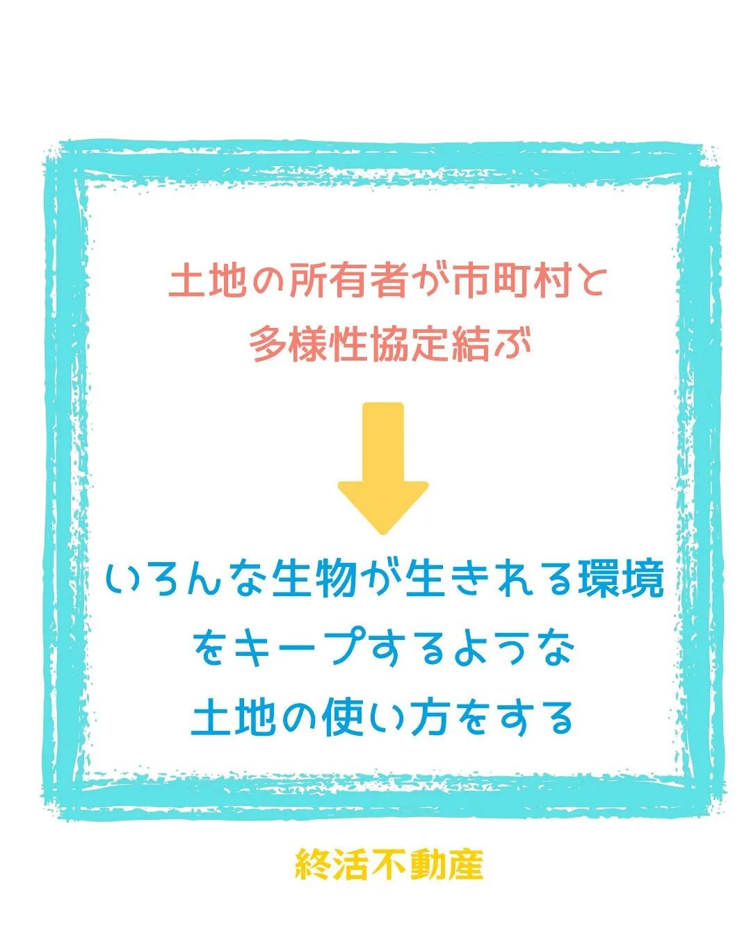 子どもの頃は川掃除というのがあり、地域の人で背の高くなった草...